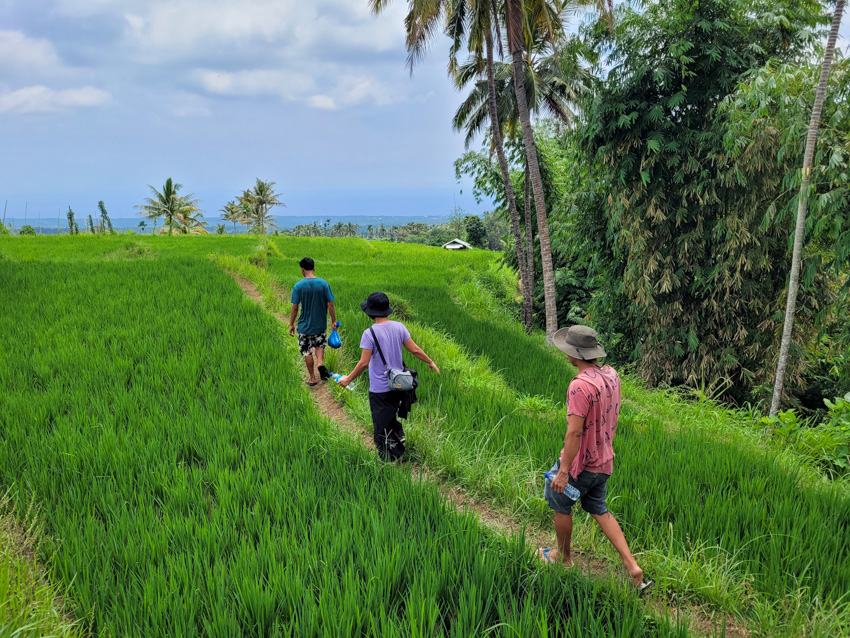 lombok farm tour